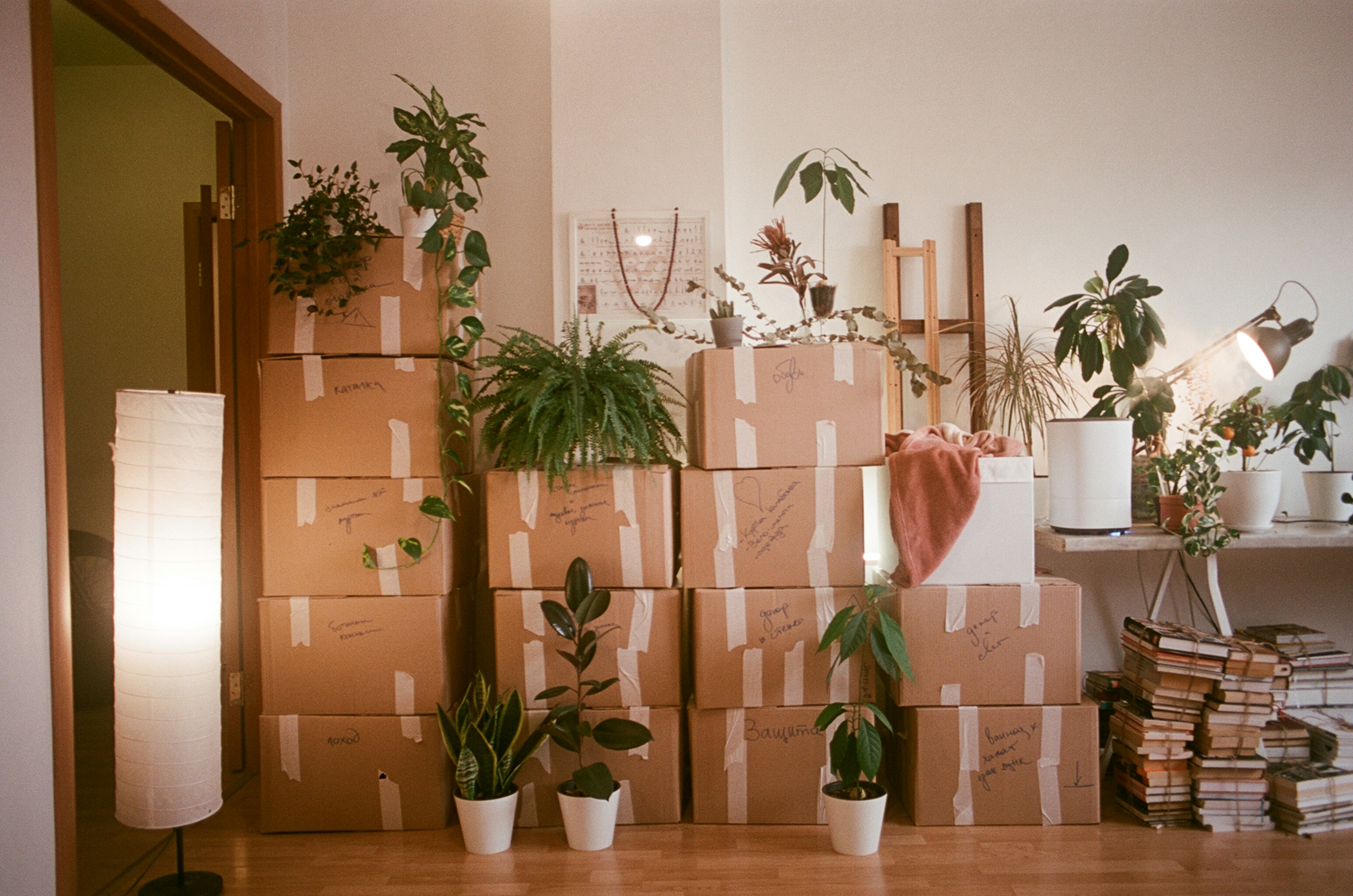 Movers loading a truck with boxes and furniture